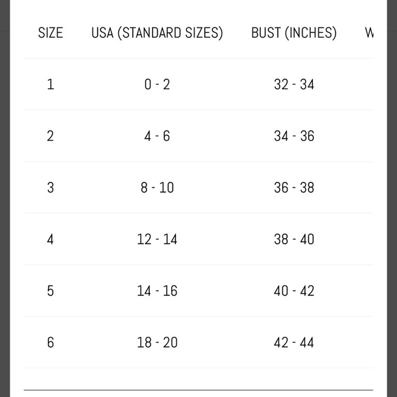 Leggiadro Shaped Knit Tee Taj Majal Print Excellent Ret. $295. Size 2 / US 4-6 - Picture 7 of 9